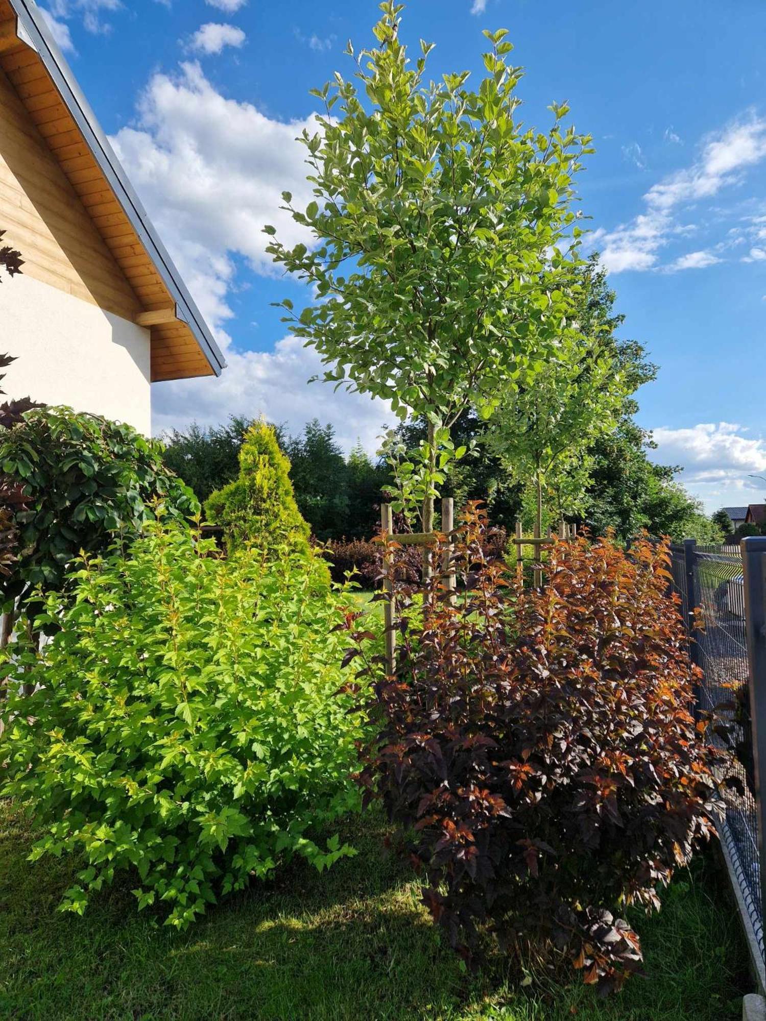 Komfortowe Domki W Pucku - Zacisze 3A I 3B Exterior foto