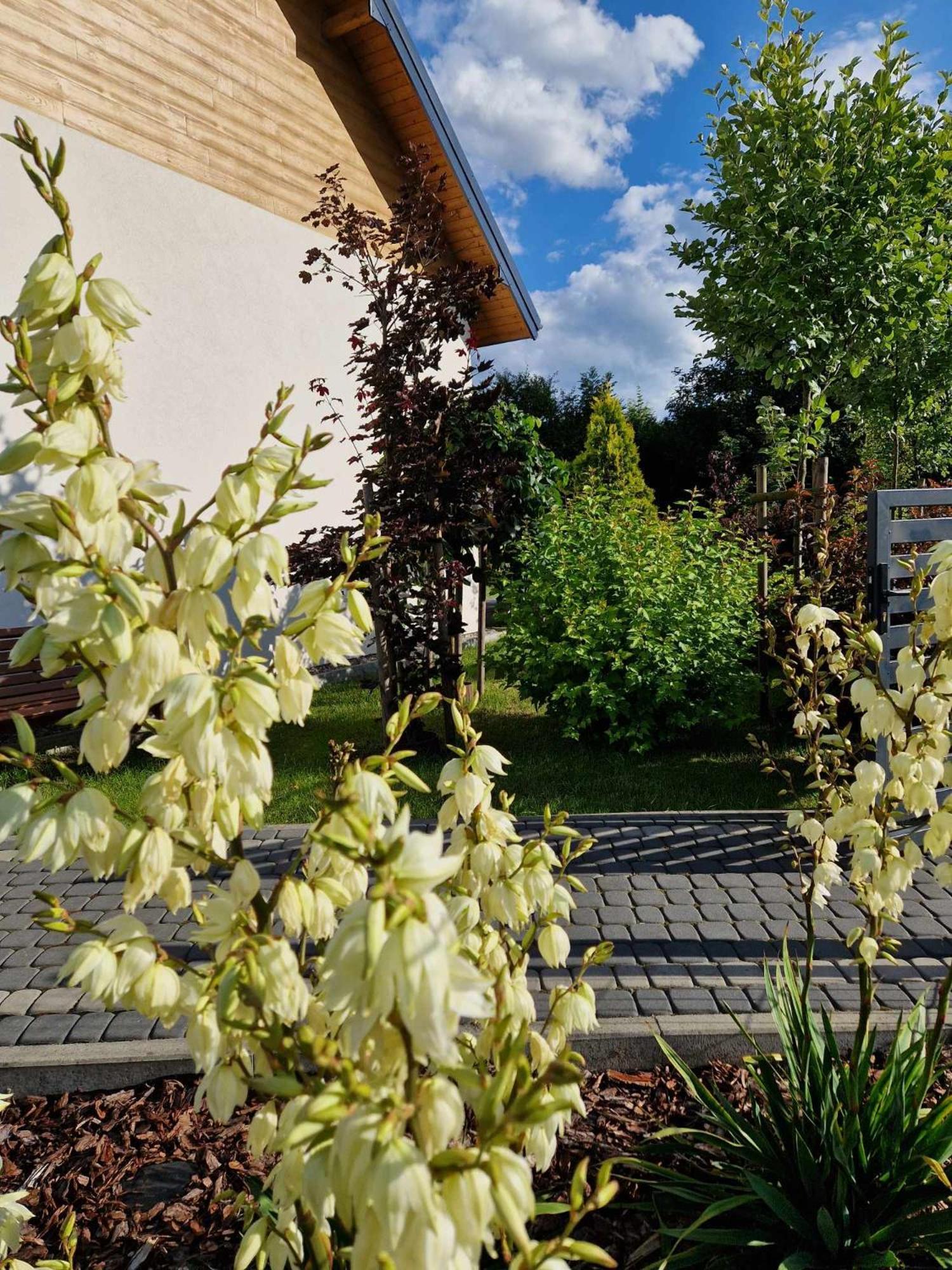 Komfortowe Domki W Pucku - Zacisze 3A I 3B Exterior foto
